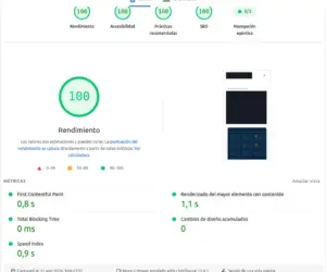 Velocidad web y SEO Técnico